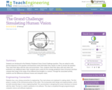 The Grand Challenge: Simulating Human Vision