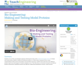 Bio-Engineering: Making and Testing Model Proteins