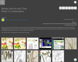 Botany & Art and Their Roles in Conservation