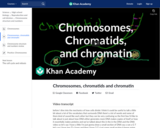 Chromosomes, chromatids and chromatin
