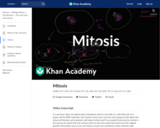 Biology: Phases of Mitosis