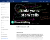 Biology: Embryonic Stem Cells