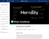 Introduction to heredity