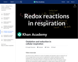 Biology: Oxidation and Reduction in Cellular Respiration