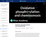 Biology: Oxidative Phosphorylation and Chemiosmosis