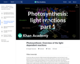 Biology: Photosynthesis: Light Reactions 1