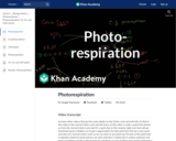 Biology: Photorespiration