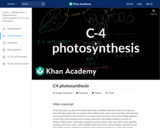 Biology: C-4 Photosynthesis