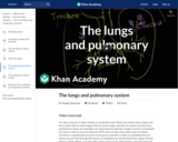 The lungs and pulmonary system