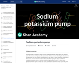 Biology: Sodium Potassium Pump