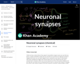 Biology: Neuronal Synapses (Chemical)