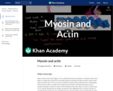 Biology: Myosin and Actin