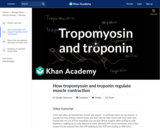 Biology: Tropomyosin and Troponin and Their Role in Regulating Muscle Contraction