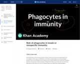 Biology: Role of Phagocytes in Innate or Nonspecific Immunity