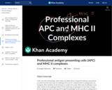 Biology: Professional Antigen Presenting Cells (APC) and MHC II Complexes