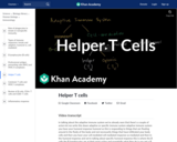 Biology: Helper T Cells