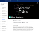 Biology: Cytotoxic T Cells