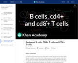 Biology: Review of B Cells,  CD4+ T Cells and CD8+ T Cells