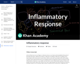 Biology: Inflammatory Response