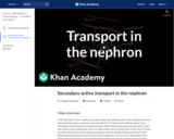 Biology: Secondary Active Transport in the Nephron