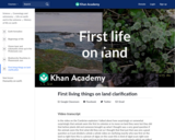First living things on land clarification