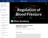 Healthcare and Medicine - The Heart: Blood Pressure Control