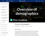 Overview of Demographics