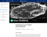 Introduction to cilia, flagella and pseudopodia