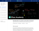 Introduction to passive and active transport