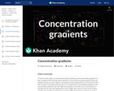 Concentration gradients