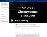 Chromosomal crossover in meiosis I