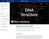 Molecular structure of DNA