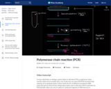 Polymerase chain reaction (PCR)