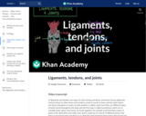 Ligaments, tendons, and joints