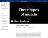 Three types of muscle