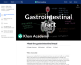Meet the gastrointestinal tract!