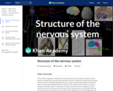 Structure of the nervous system