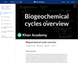 Biogeochemical cycles overview