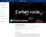 The carbon cycle