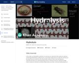 Hydrolysis