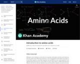 Introduction to amino acids