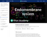 Endomembrane system