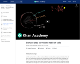 Surface area to volume ratio of cells