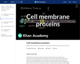 Cell membrane proteins