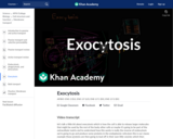 Exocytosis