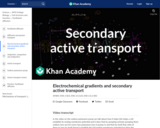 Electrochemical gradients and secondary active transport