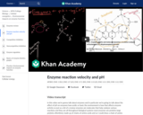 Enzyme reaction velocity and pH