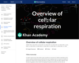 Overview of cellular respiration