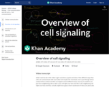 Overview of cell signaling