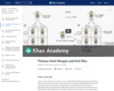 Thomas Hunt Morgan and fruit flies